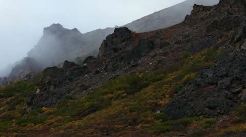 Denali Mountains Video stock 8988805