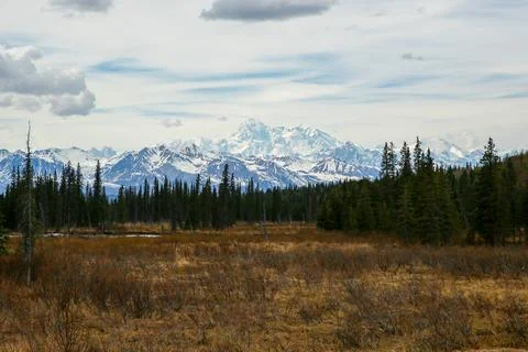 Denali Peak Stock Photos