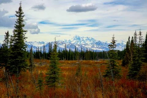 Denali Stock Photos
