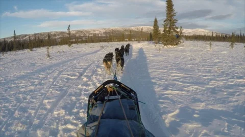 Denali POV from Sled of Dogs Pulling Sled Towards Alaska Mountain Stock Footage 123932007
