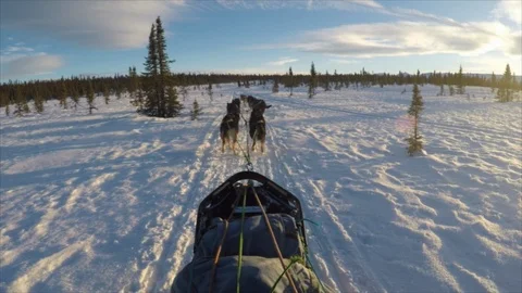 Denali POV from Sled of Dogs Pulling Sled during Sunset Stock Footage 123932081