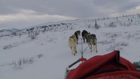 Denali POV from Sled of Dogs Pulling Sled Stock Footage 124095090