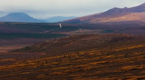 Denali Valley Fall Colors Stock Footage 8988826