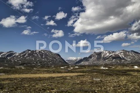 Denali wilderness views Stock Photos