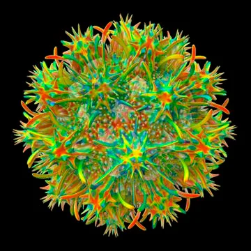 Dendrimer, artwork Stock Illustration