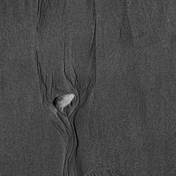 Dendrite patterns made by water flowing around a rock on a beach. Stock Photos