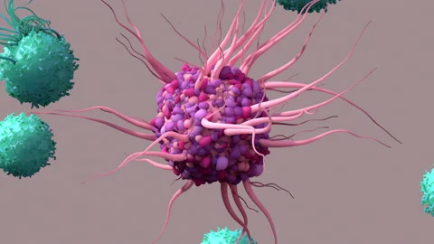 Dendritic Cell activate T cells, trigger immune responses, they are responsible Stock Footage