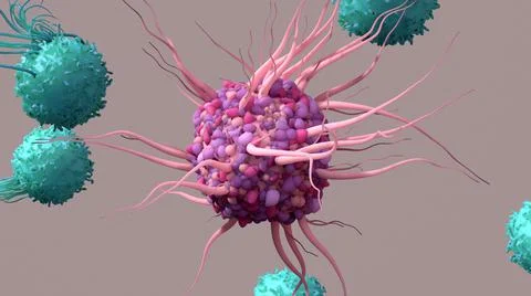 Dendritic Cell activate T cells, trigger immune responses, they are responsible Illustrazione stock