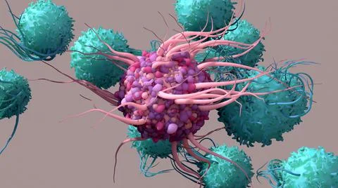 Dendritic Cell activate T cells, trigger immune responses, they are responsible Stock Illustration