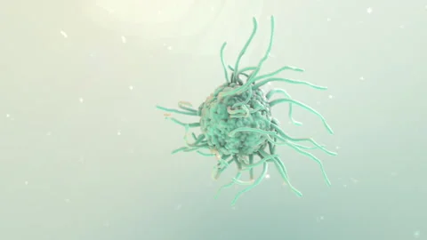 Dendritic cell Video stock 273116772