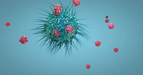Dendritic cell of the human immune system attaching to a virus particle to .. Stock Footage 335451833