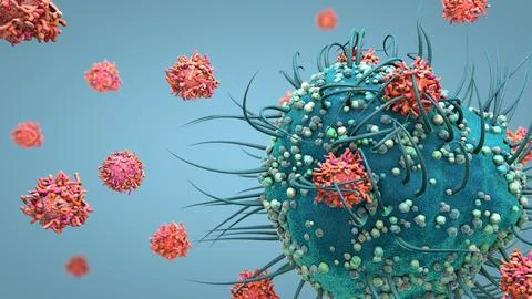 Dendritic cell of the human immune system attaching to a virus particle to .. Stock Illustration