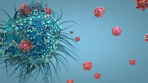 Dendritic cell of the human immune system attaching to a virus particle to .. Stock Illustration