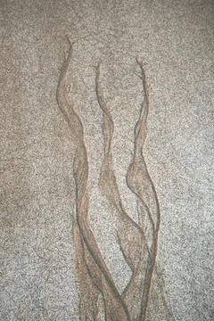 Dendritic pattern formed by the receding tide on a sandy area Фото