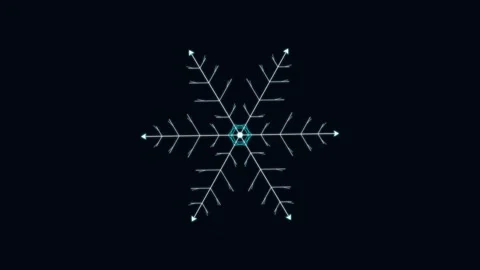 Dendritic Snowflake Crystallization Growth with hexagonal ice prism symm 4K Loop Vídeo Stock 345874002