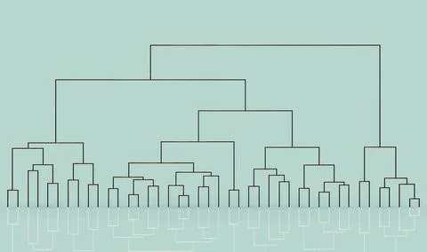 Dendrogram, a diagram representing a tree used to demonstrate results of hier Stockillustratie