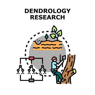Dendrology research studying tree growth and ecosystem Ilustración de archivo