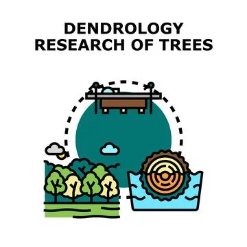Dendrology research studying trees and forest ecology Stock Illustration