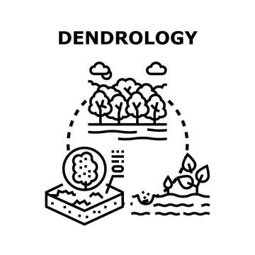 Dendrology study illustrating tree growth stages lifecycle Stock Illustration