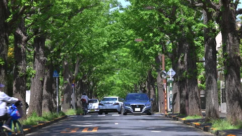 Denenchofu Station is placed in high class area in Tokyo, Japan 2022. Stock Footage 206793791