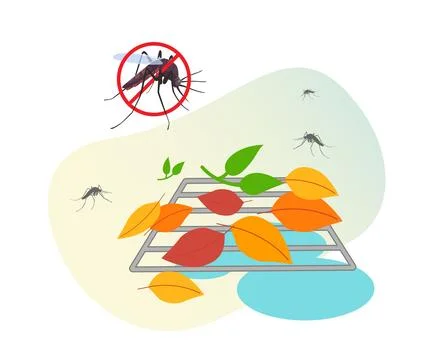 Dengue Prevention - Avoid Open Water Collection - Stock Illustration Stock Illustration