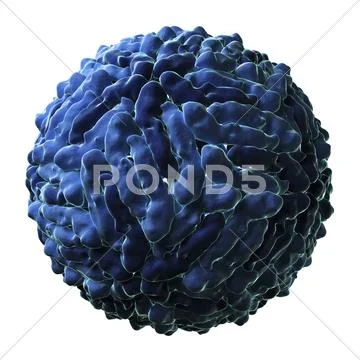 Dengue virus particle Stock Illustration