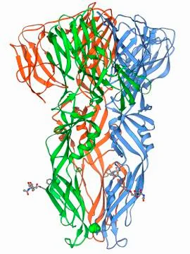 Dengue virus surface protein molecule Stock Illustration
