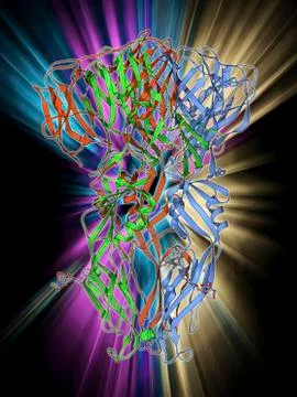 Dengue virus surface protein molecule Stock Illustration