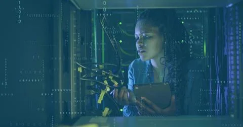 Denim-clad network tech adjusting Ethernet cables while viewing tablet in server Stock Photos