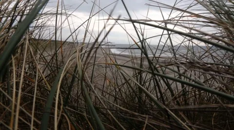 Denmark in autumn, coast Stock Footage 68953630