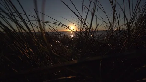 Denmark in autumn, coast Stock Footage 81548722