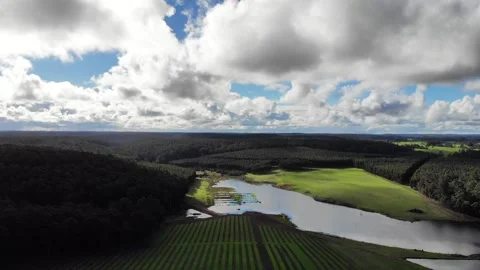 Denmark beach Aerial viewpoint over a pine and vineyard plan, western Australia. Stock Footage 131903848