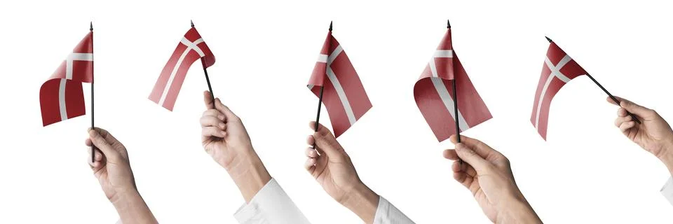 The Denmark flag in hand in different angles on a white background Stock Illustration