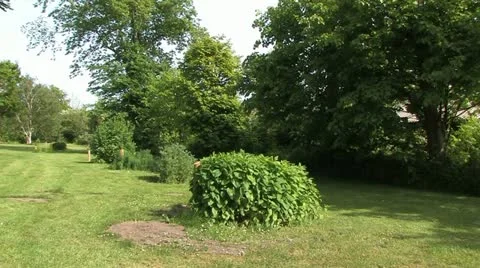 Denmark - Jutland 動画素材 21798202