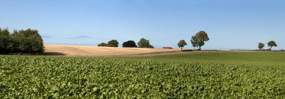Denmark landscape,  fields Stock Photos