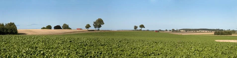 Denmark landscape,  fields Stock Photos