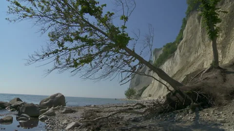 Denmark Moens klint Stock Footage 45422806