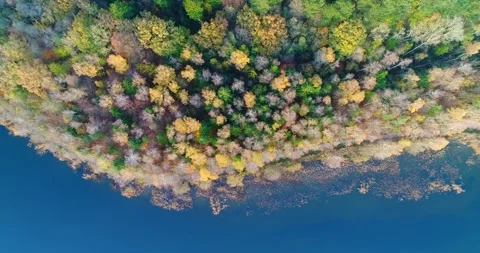 Denmark Nature 库存影片 149196619