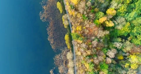 Denmark nature 库存影片 149269524