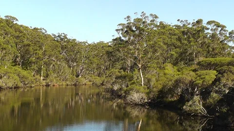 The Denmark River in Western Australia Stock Footage 89165783