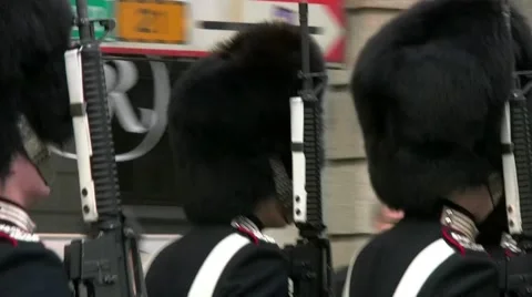 Denmark Royal Life Guards (Den Kongelige Livgarde) 스톡 동영상 45831599