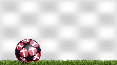 Denmark Soccer Ball on the Grass Stock-Footage 314252219