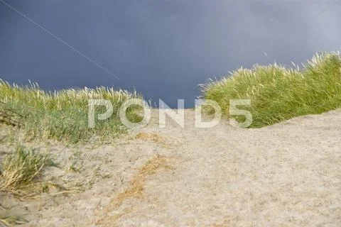 Denmark, Vrist, View Of Sand Dunes With Grass