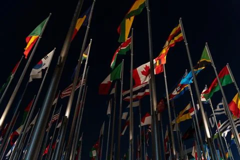 Dense Array of International Flags at Night in Flag Plaza, Doha, Qatar - Gl.. Фото