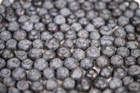 Dense blueberry pattern ideal for packaging, repetitive circular forms, neu.. Stock Photos