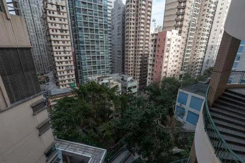 Dense building with tree in between highrise in Sai Ying Pun Stock Photos