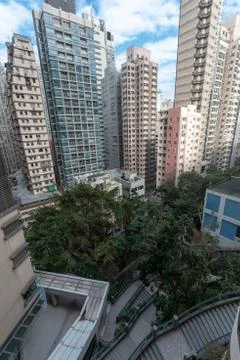 Dense building with tree in between highrise in Sai Ying Pun Stock Photos