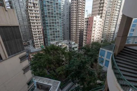 Dense building with tree in between highrise in Sai Ying Pun Stock Photos