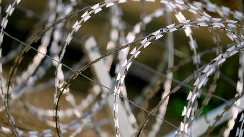 Dense Circular Razor Wire Coils and Fastening Lines, Close-Up Stock-Footage 344121798