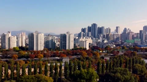 Dense city skyline stretches beyond colorful autumn parkland with modern Stock Footage 344809441